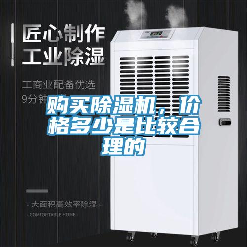 购买猫咪成人官网，价格多少是比较合理的