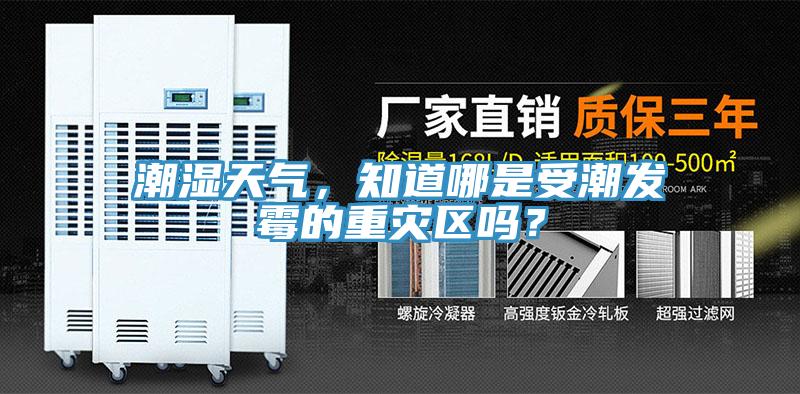 潮湿天气，知道哪是受潮发霉的重灾区吗？