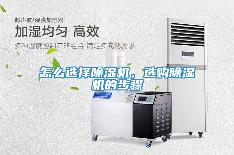 怎么选择猫咪成人官网，选购猫咪成人官网的步骤