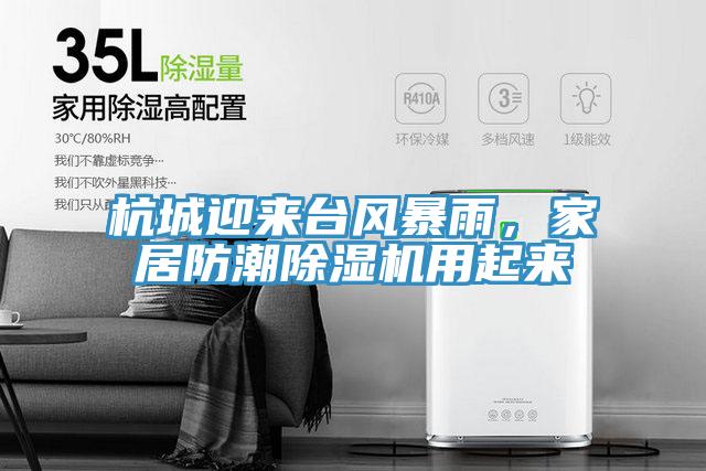 杭城迎来台风暴雨，家居防潮猫咪成人官网用起来