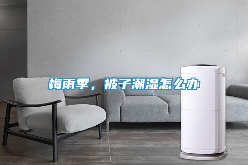 梅雨季，被子潮湿怎么办