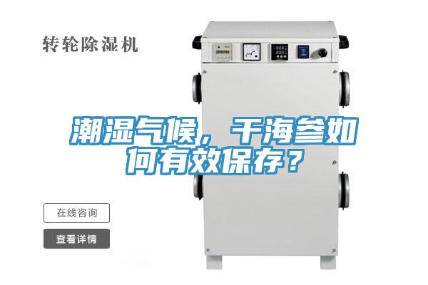 潮湿气候，干海参如何有效保存？