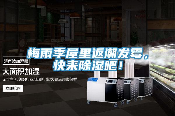 梅雨季屋里返潮发霉，快来除湿吧！