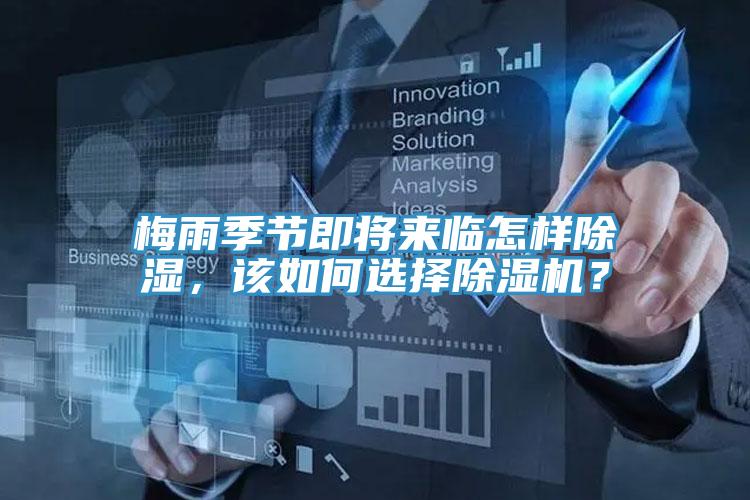 梅雨季节即将来临怎样除湿，该如何选择猫咪成人官网？