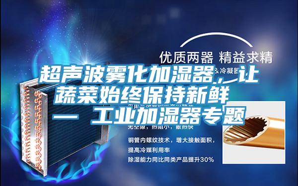 超声波雾化加湿器，让蔬菜始终保持新鲜 — 工业加湿器专题