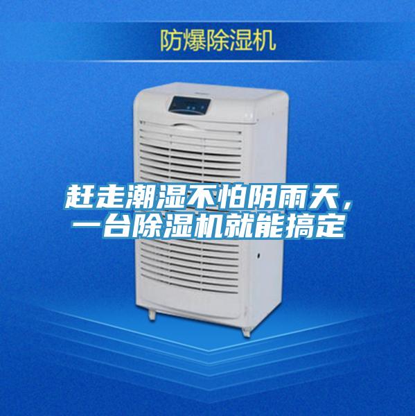 赶走潮湿不怕阴雨天，一台猫咪成人官网就能搞定