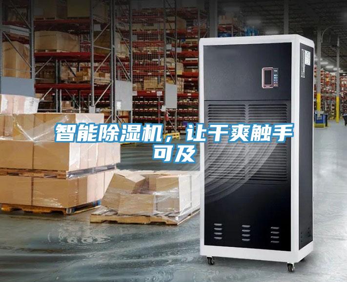 智能猫咪成人官网，让干爽触手可及