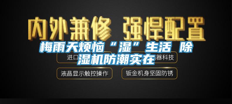 梅雨天烦恼“湿”生活 猫咪成人官网防潮实在
