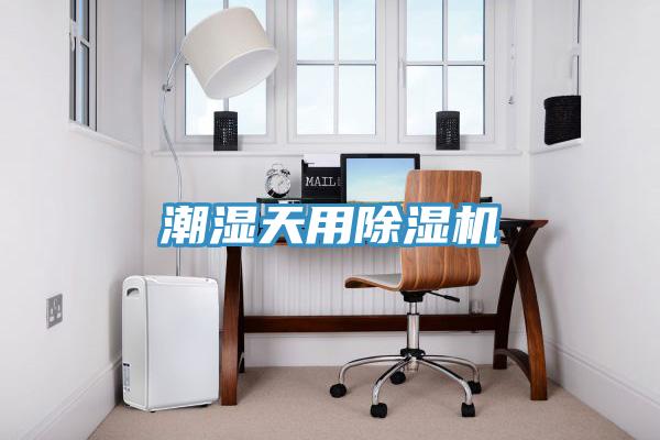 潮湿天用猫咪成人官网
