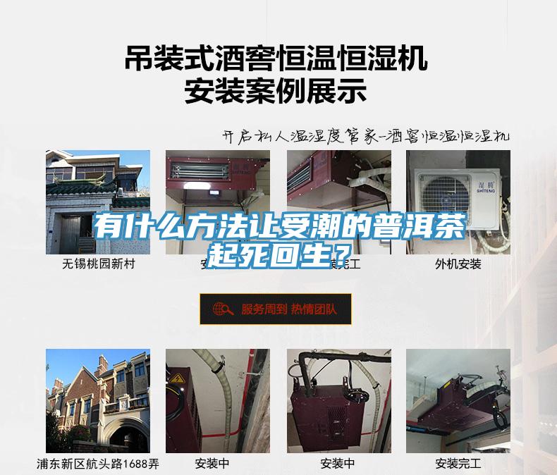 有什么方法让受潮的普洱茶起死回生？