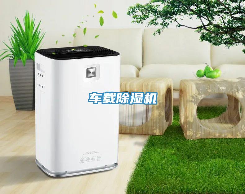 车载猫咪成人官网