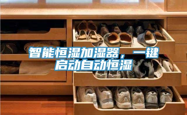 智能恒湿加湿器，一键启动自动恒湿