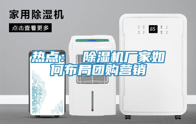 热点： 猫咪成人官网厂家如何布局团购营销