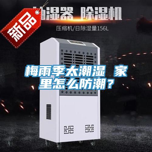 梅雨季太潮湿 家里怎么防潮？