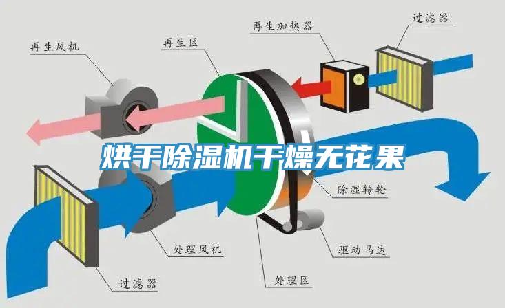 烘干猫咪成人官网干燥无花果