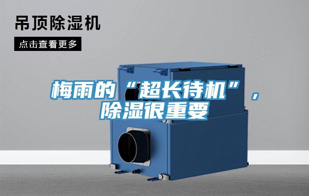 梅雨的“超长待机”，除湿很重要