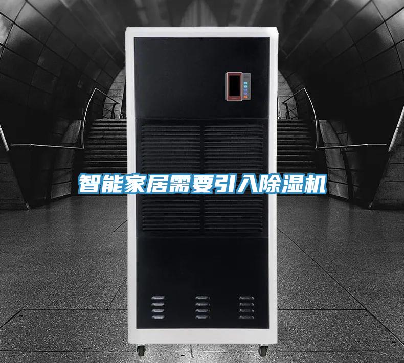智能家居需要引入猫咪成人官网