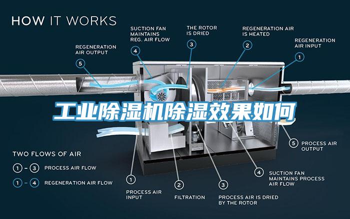 工业猫咪成人官网除湿效果如何
