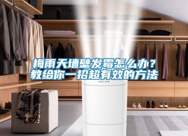 梅雨天墙壁发霉怎么办？教给你一招超有效的方法
