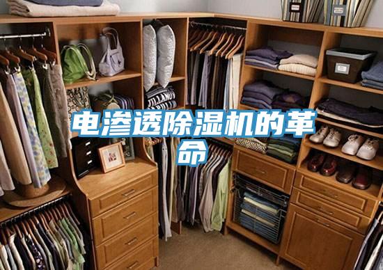 电渗透猫咪成人官网的革命