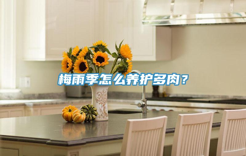梅雨季怎么养护多肉？