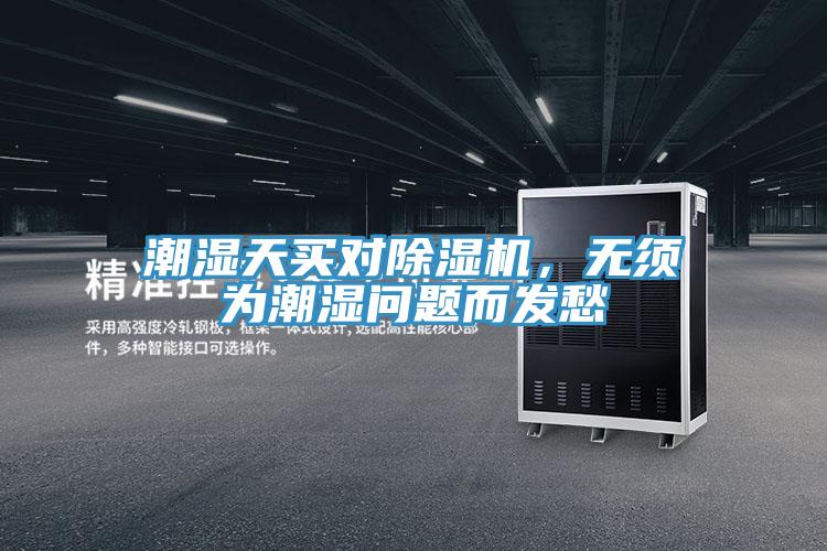 潮湿天买对猫咪成人官网，无须为潮湿问题而发愁