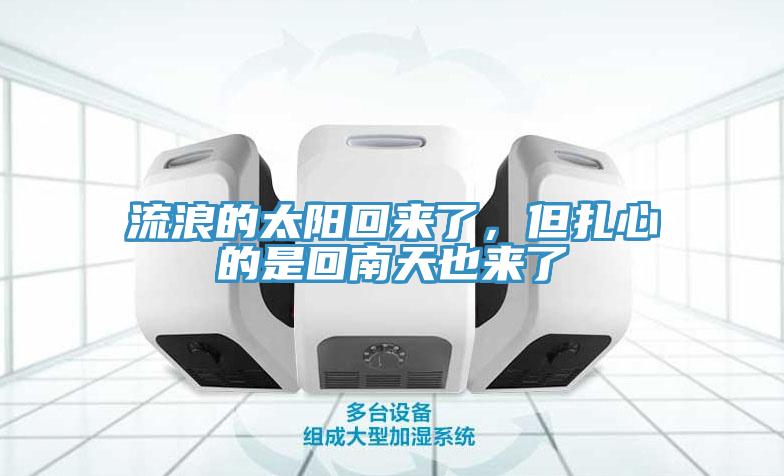 流浪的太阳回来了，但扎心的是回南天也来了