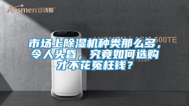 市场上猫咪成人官网种类那么多，令人头昏，究竟如何选购才不花冤枉钱？