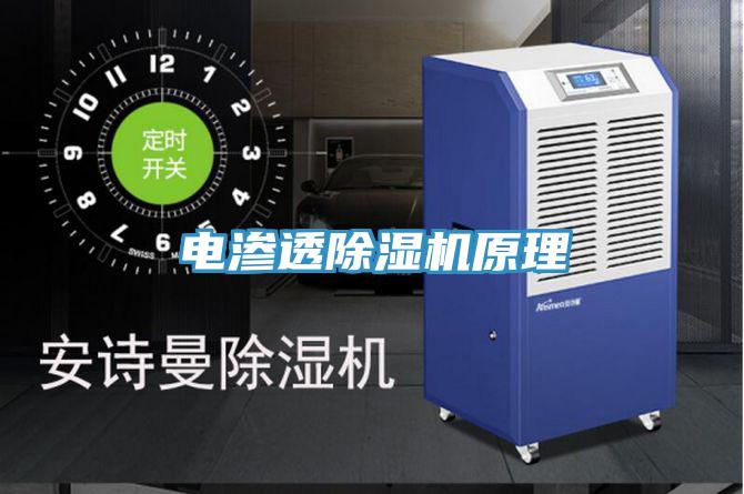 电渗透猫咪成人官网原理