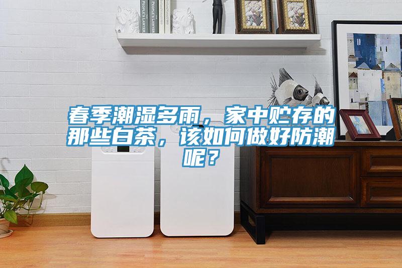 春季潮湿多雨，家中贮存的那些白茶，该如何做好防潮呢？