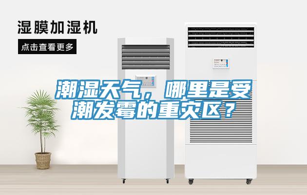 潮湿天气，哪里是受潮发霉的重灾区？