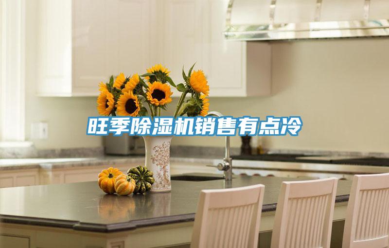 旺季猫咪成人官网销售有点冷