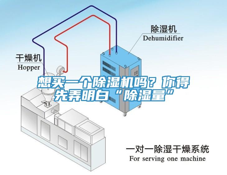 想买一个猫咪成人官网吗？你得先弄明白“除湿量”