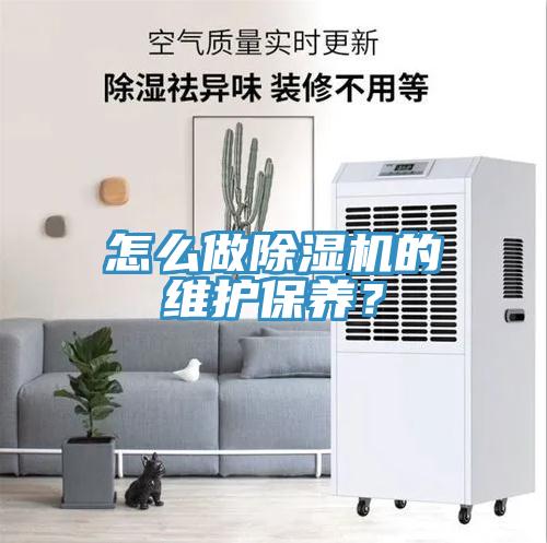 怎么做猫咪成人官网的维护保养？