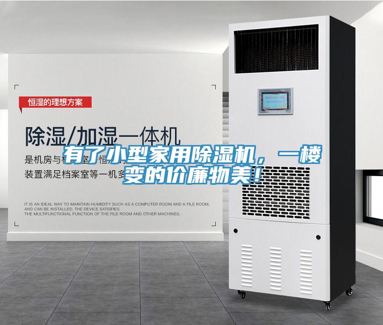 有了小型家用猫咪成人官网，一楼变的价廉物美！