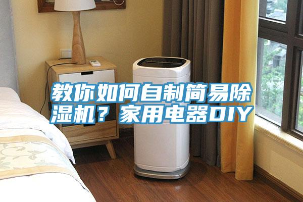 教你如何自制简易猫咪成人官网？家用电器DIY