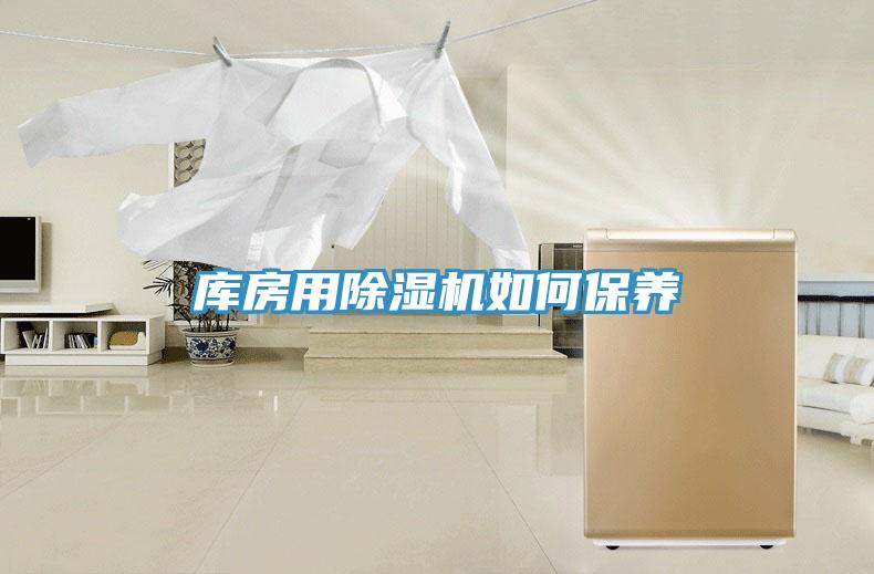 库房用猫咪成人官网如何保养