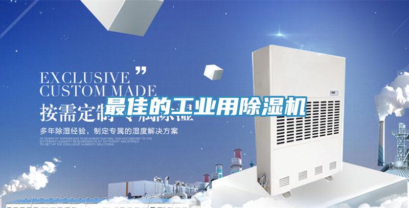 最佳的工业用猫咪成人官网