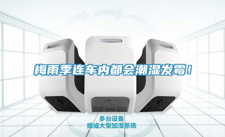 梅雨季连车内都会潮湿发霉！