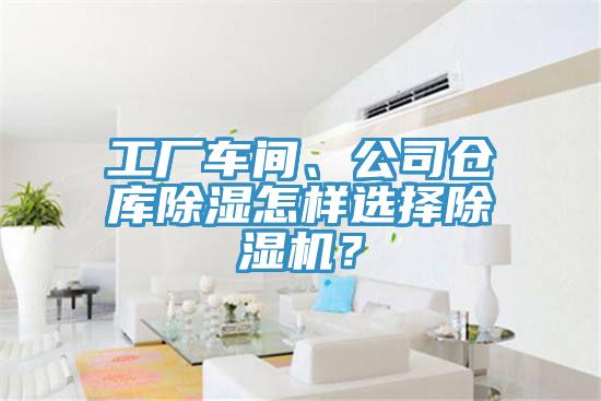 工厂车间、公司仓库除湿怎样选择猫咪成人官网？