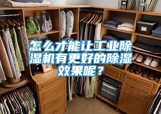 怎么才能让工业猫咪成人官网有更好的除湿效果呢？