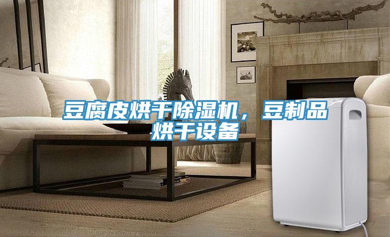 豆腐皮烘干猫咪成人官网，豆制品烘干设备