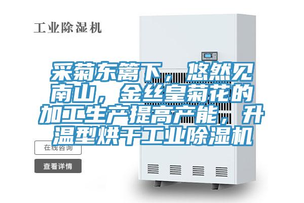 采菊东篱下，悠然见南山，金丝皇菊花的加工生产提高产能，升温型烘干工业猫咪成人官网