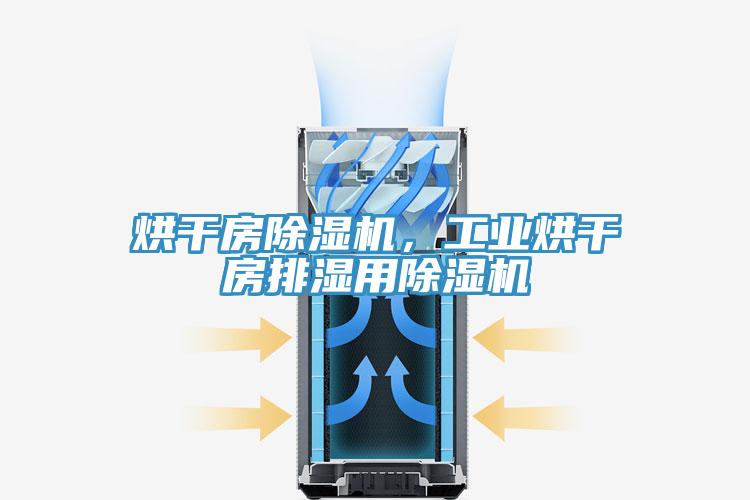 烘干房猫咪成人官网，工业烘干房排湿用猫咪成人官网