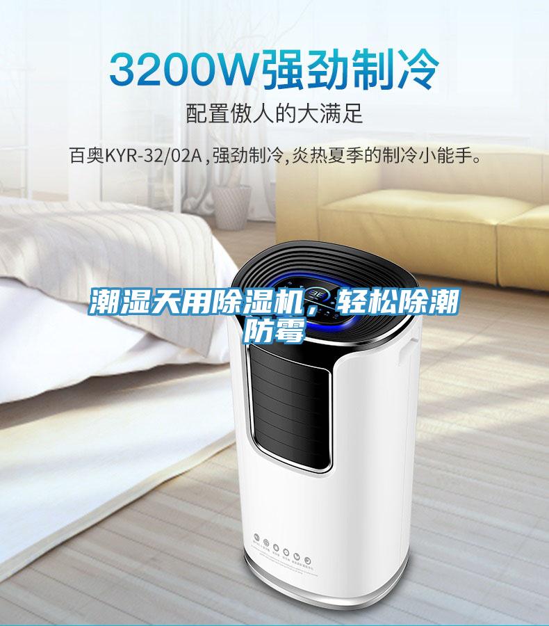 潮湿天用猫咪成人官网，轻松除潮防霉