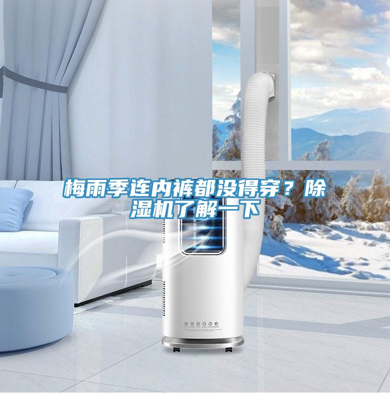 梅雨季连内裤都没得穿？猫咪成人官网了解一下
