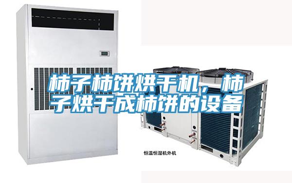 柿子柿饼烘干机，柿子烘干成柿饼的设备