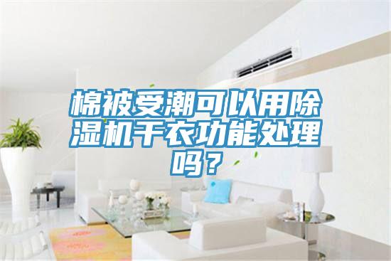 棉被受潮可以用猫咪成人官网干衣功能处理吗？