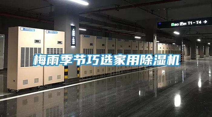 梅雨季节巧选家用猫咪成人官网
