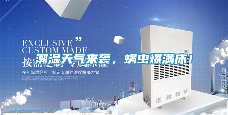 潮湿天气来袭，螨虫爆满床！